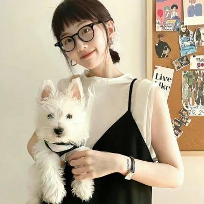 爱情傻子封面