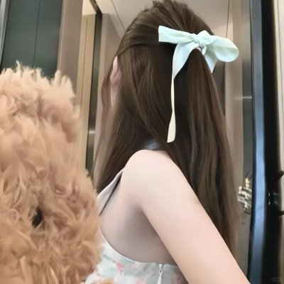 狗狗监护权封面
