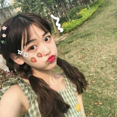 常绿树封面