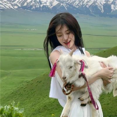 海猿封面